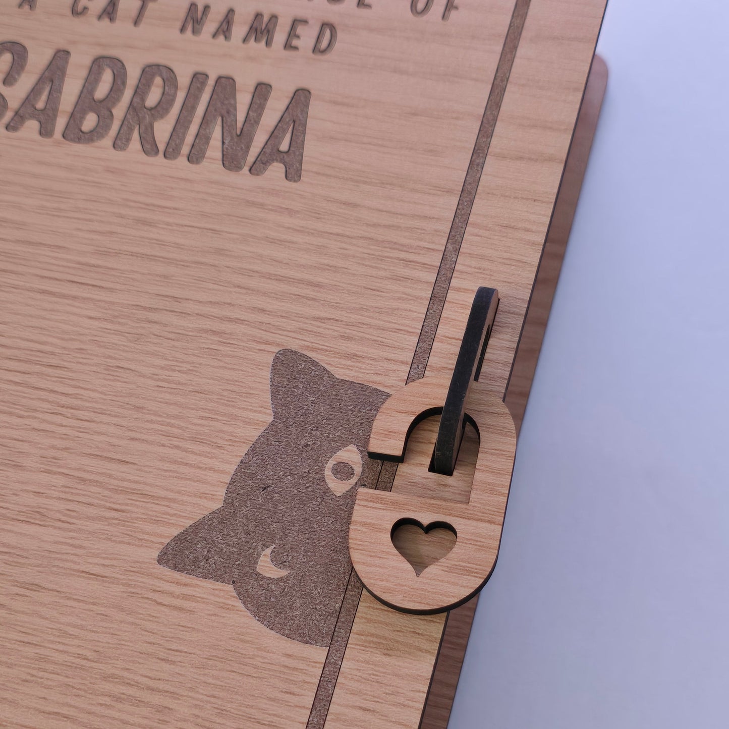 Paw-sitively Locked: Extra Lock Set for Book Boxes (5-Pack)