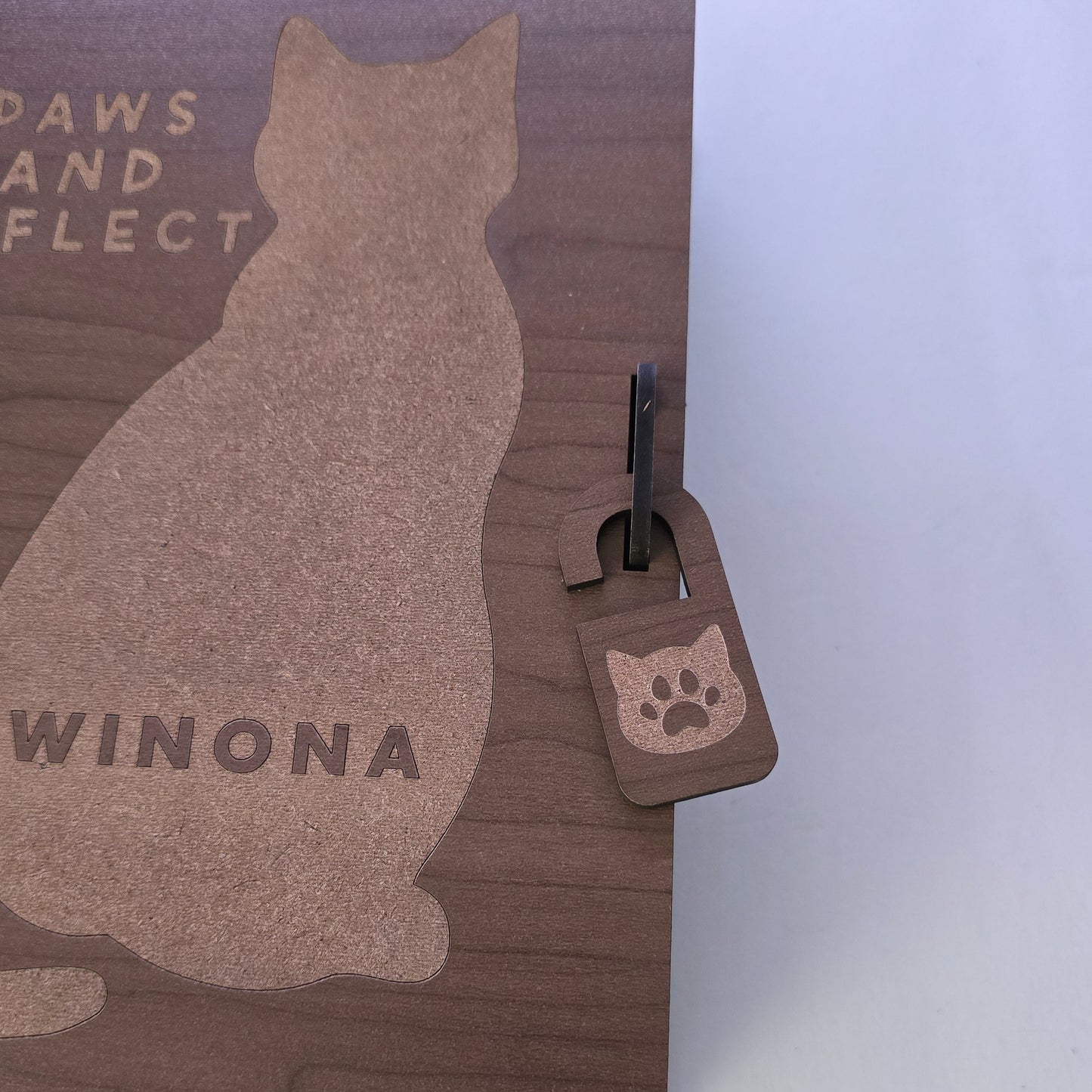 Paw-sitively Locked: Extra Lock Set for Book Boxes (5-Pack)