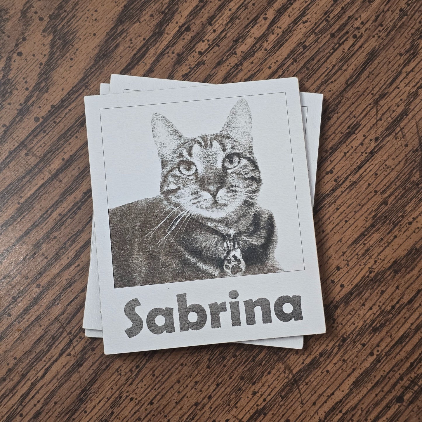 Say Meow