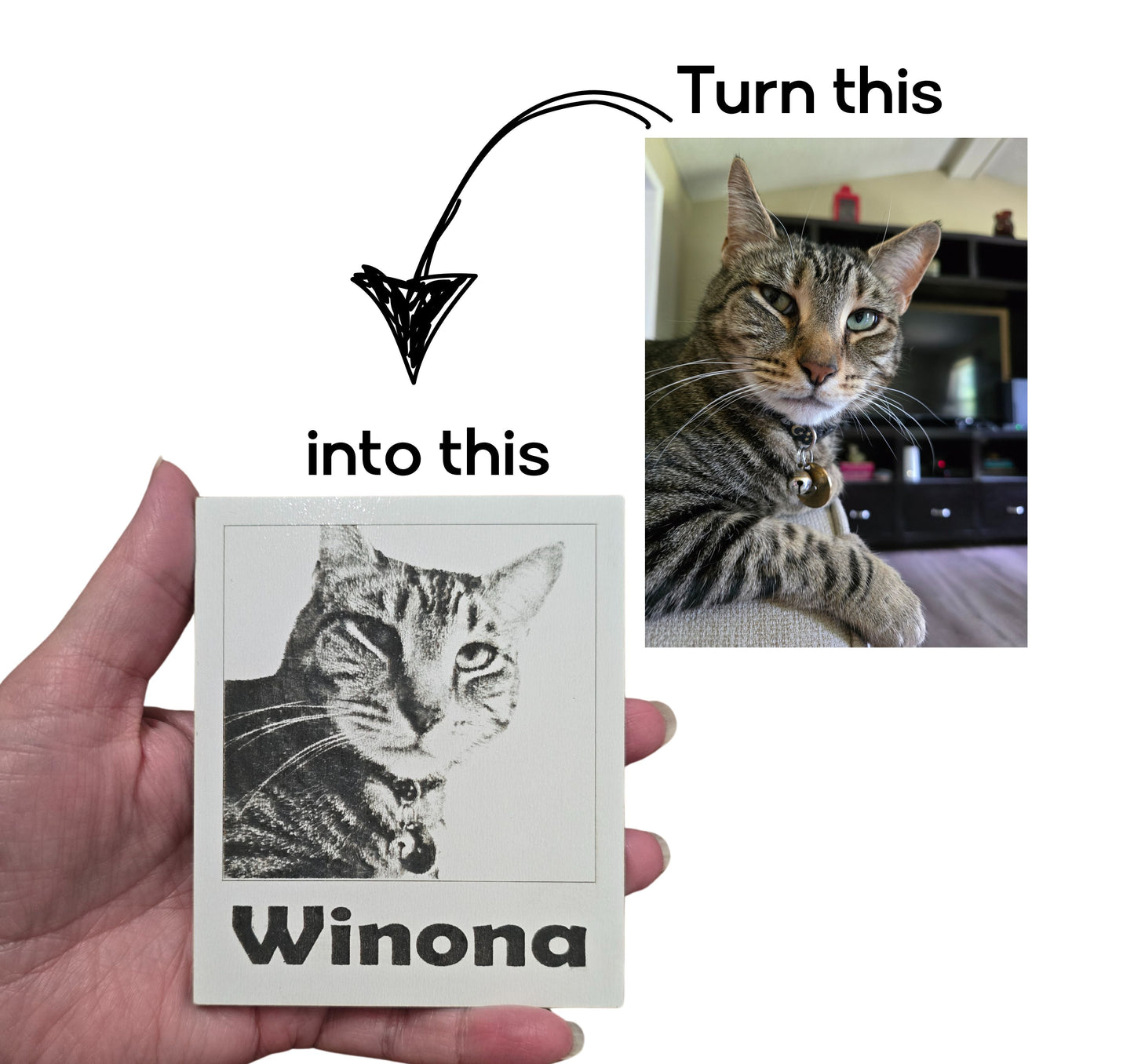 Say Meow