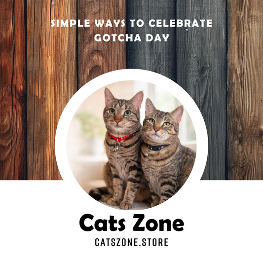 Celebrating Gotcha Day: The Day Your Cat Found You