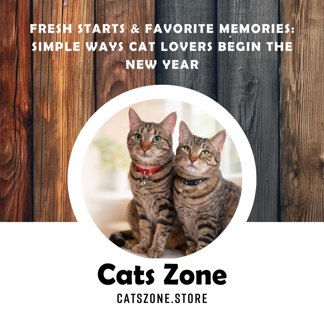 Fresh Starts & Favorite Memories: Simple Ways Cat Lovers Begin the New Year