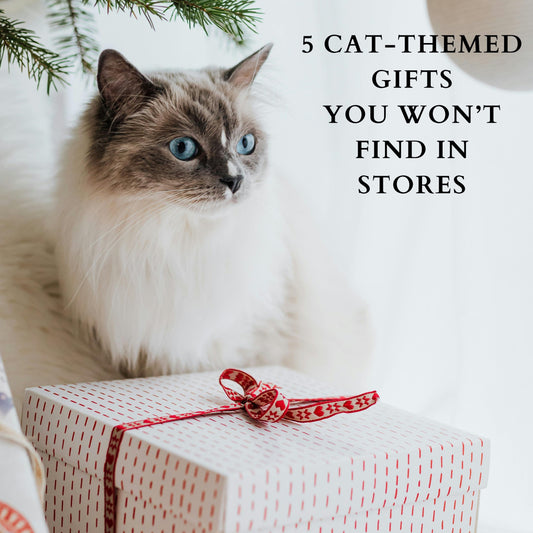 5 Unique Cat Lover Gifts You Won’t Find in Stores