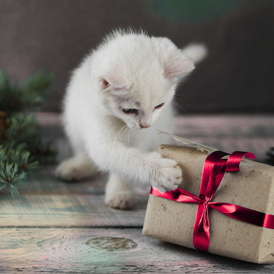 Cat Christmas Traditions: From Tree Mischief to Custom Ornaments