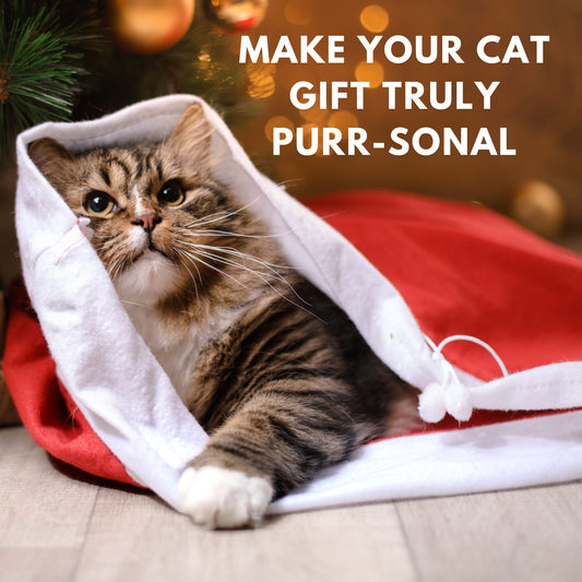 🐾 Black Friday for Cat Lovers: Why Small & Personal Beats Big & Rushed