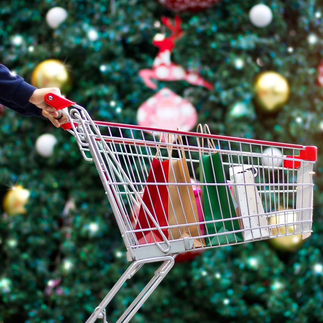 Beat the Holiday Rush: Why Cat Lovers Shop Early