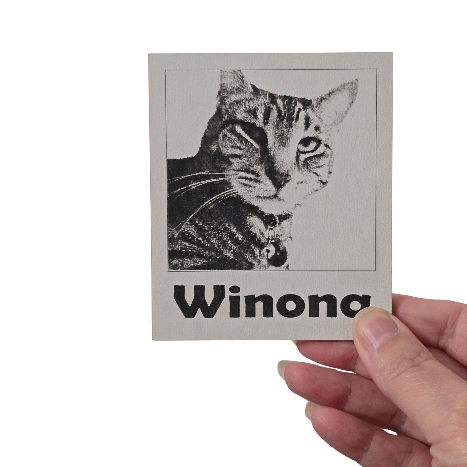 Purrrfect Picture