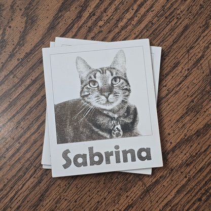 Say Meow