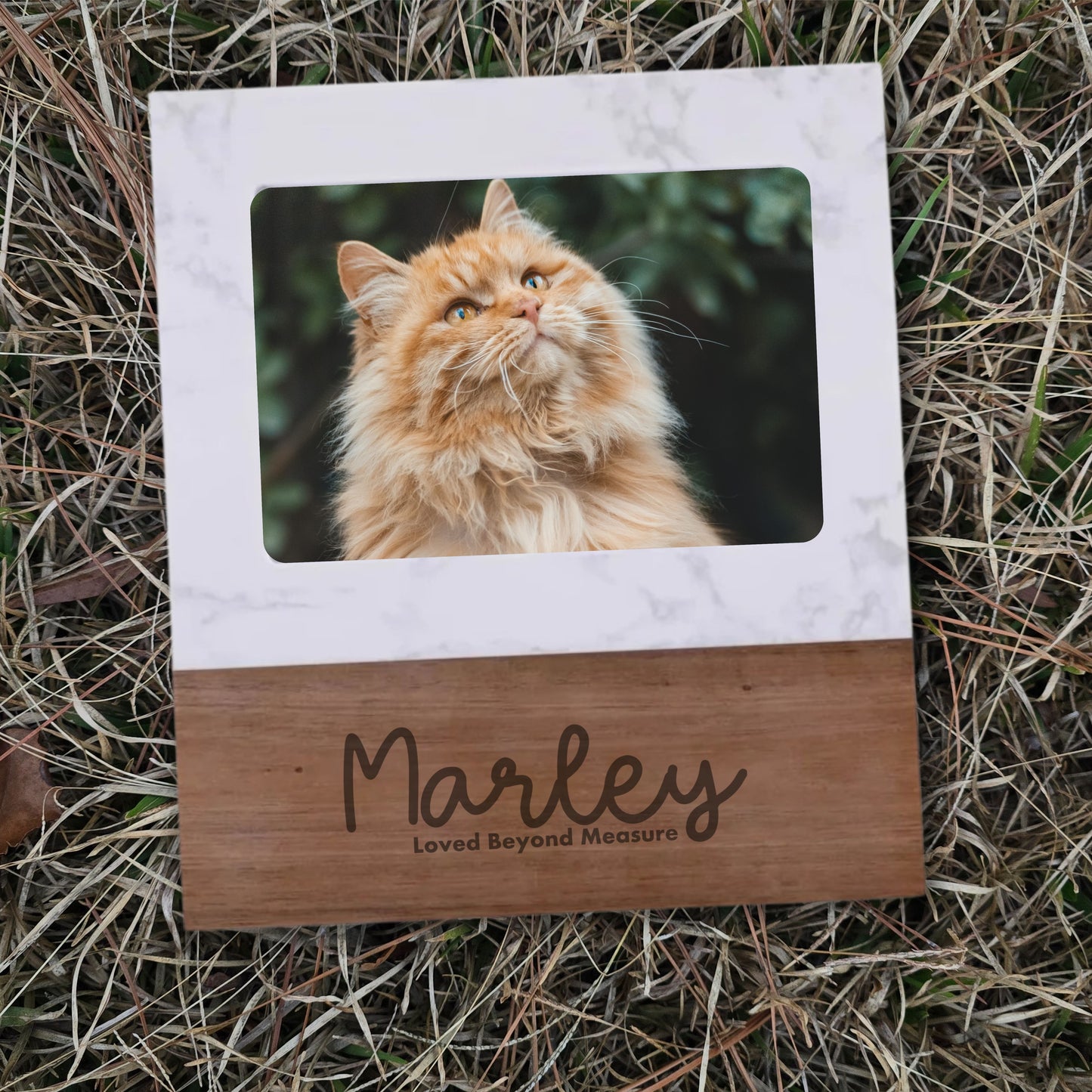 Everyday Purrrrs Keepsake