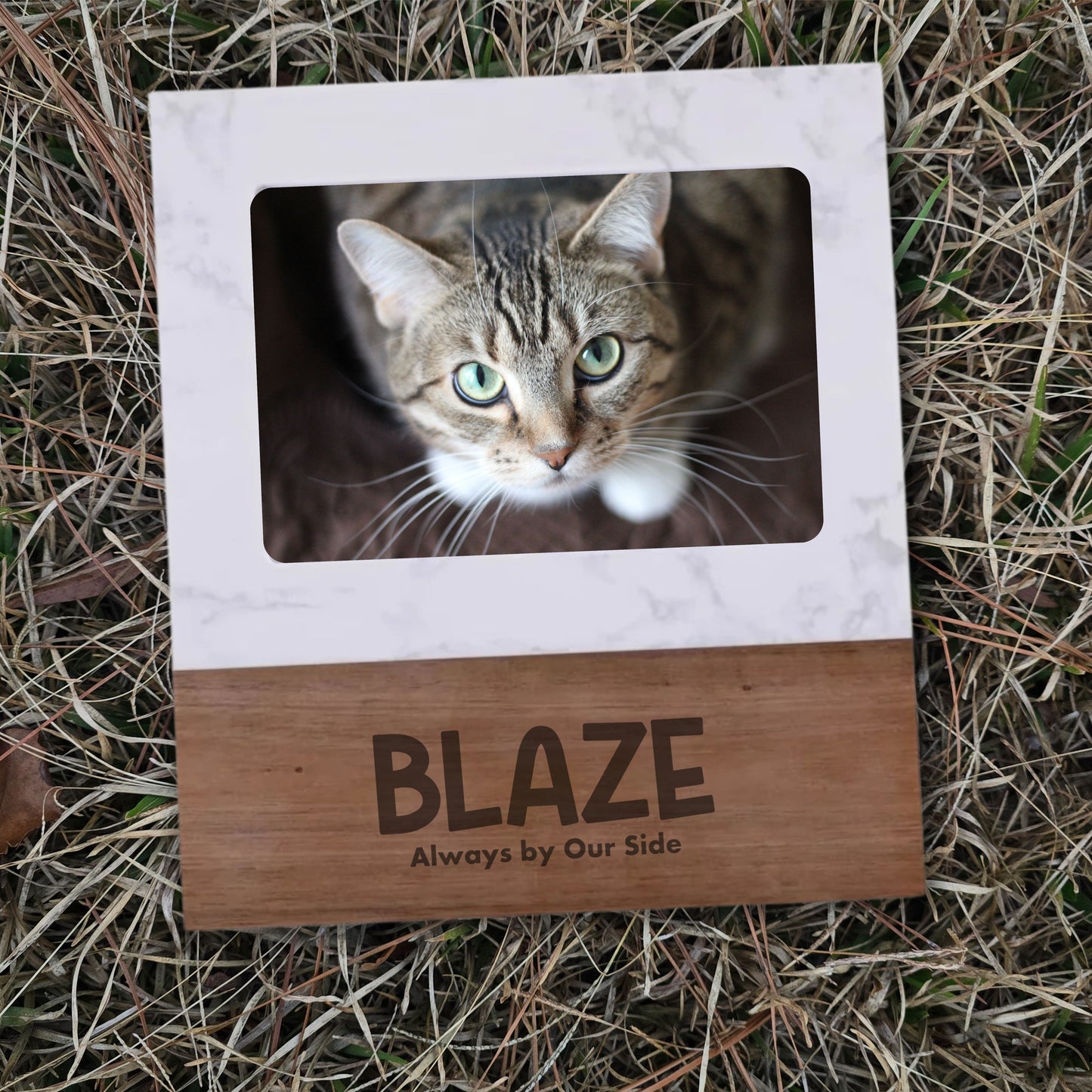 Everyday Purrrrs Keepsake