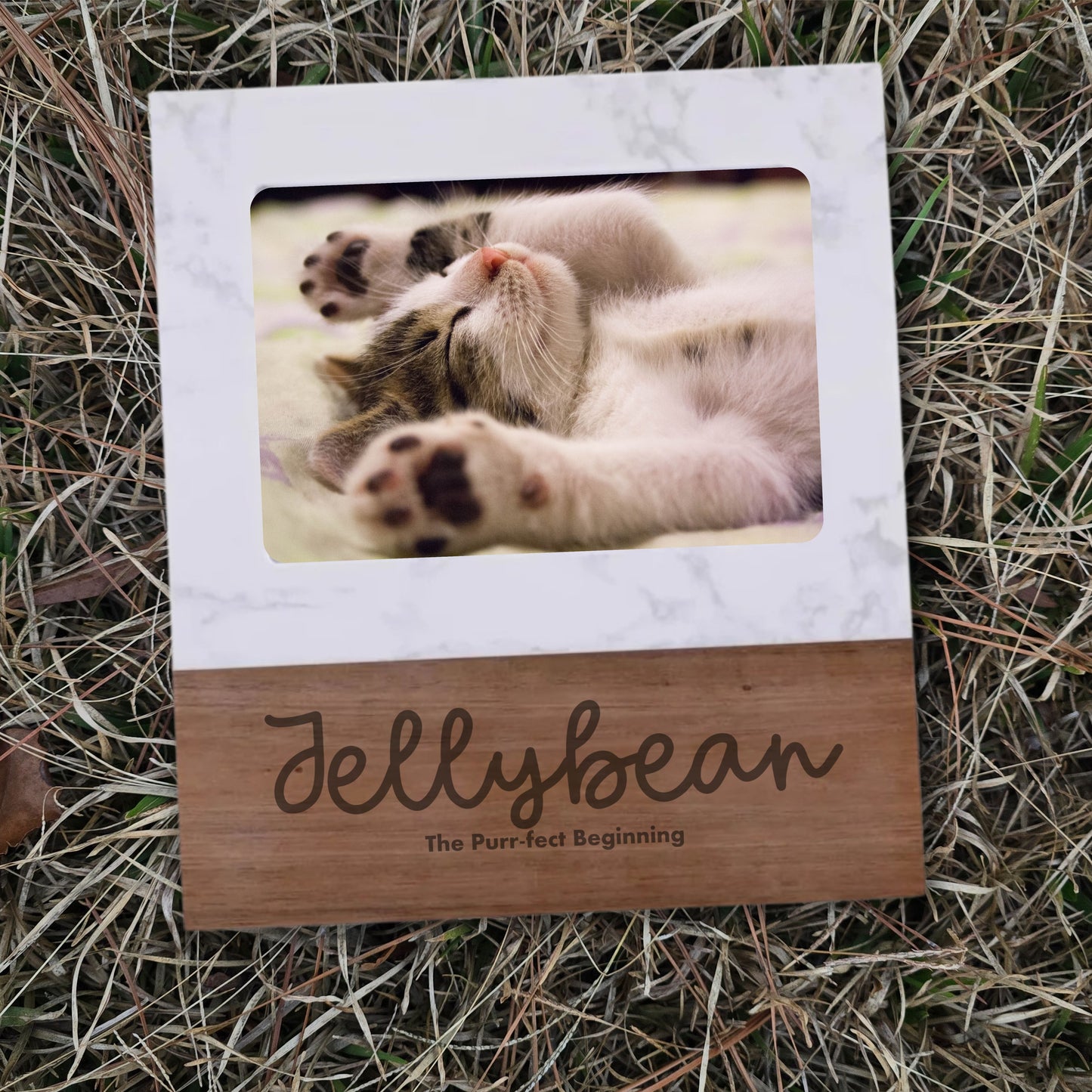 The Purrrfect Addition to the Family Keepsake