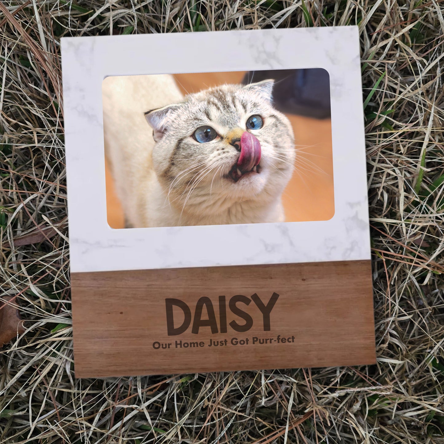 The Purrrfect Addition to the Family Keepsake