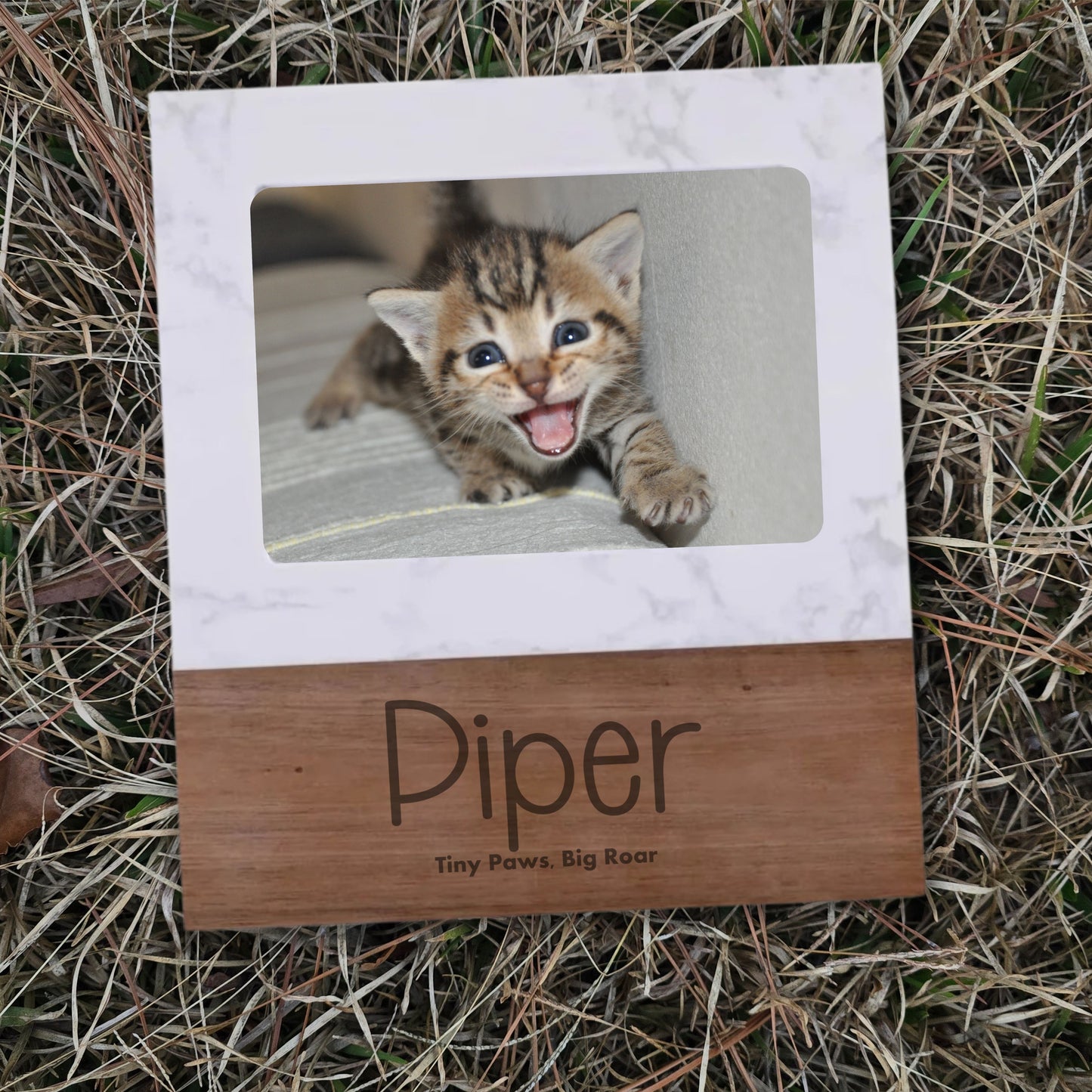 The Purrrfect Addition to the Family Keepsake