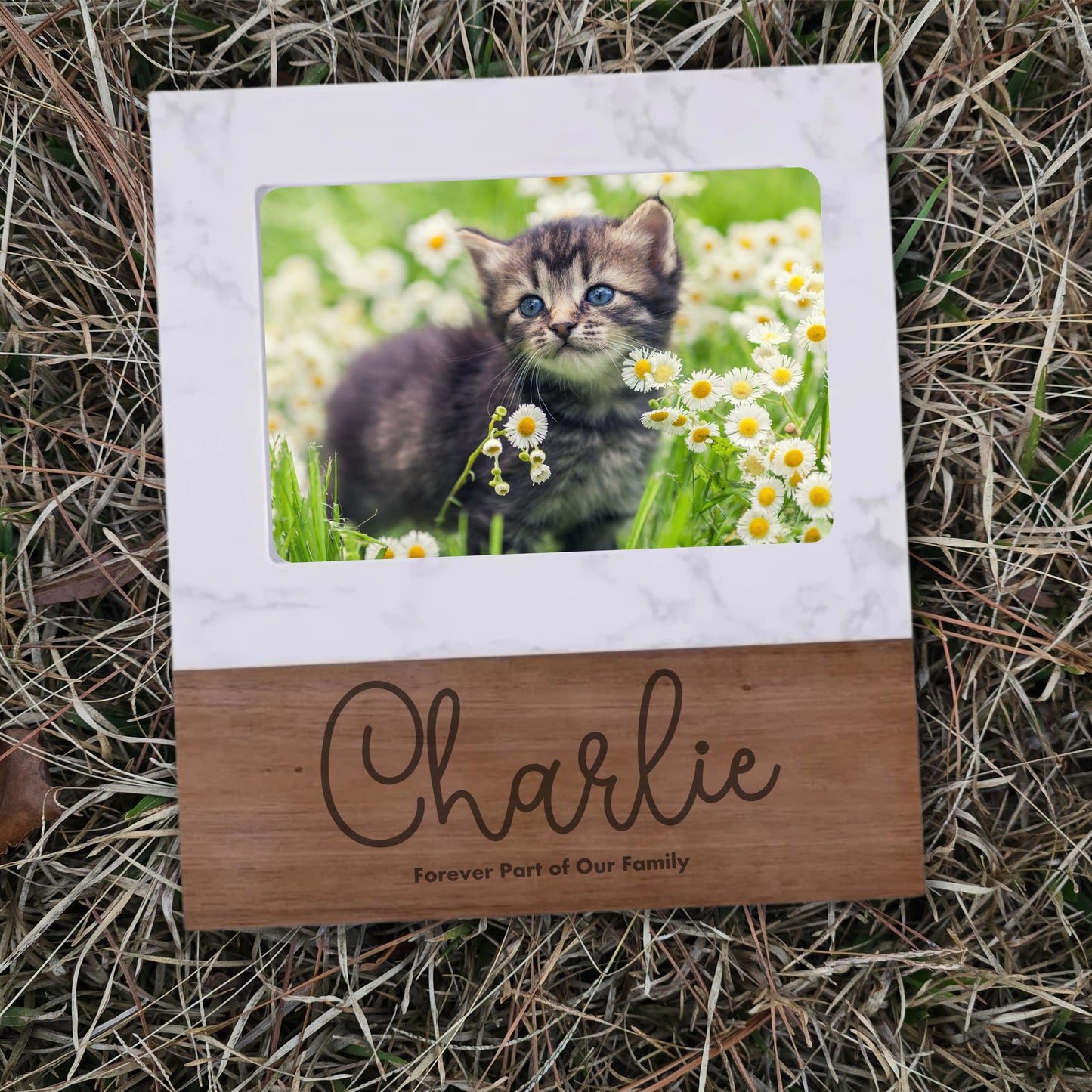 Everyday Purrrrs Keepsake