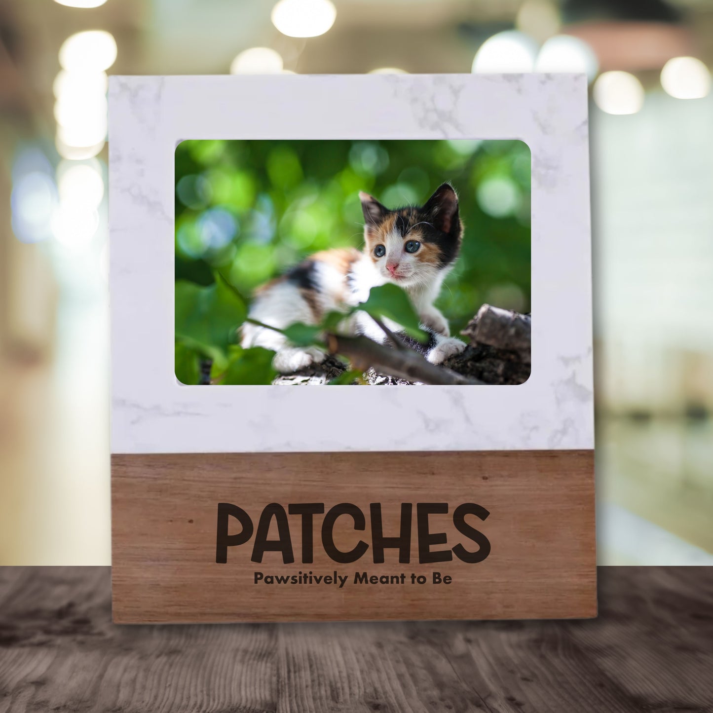 Welcome Purrrs Frames