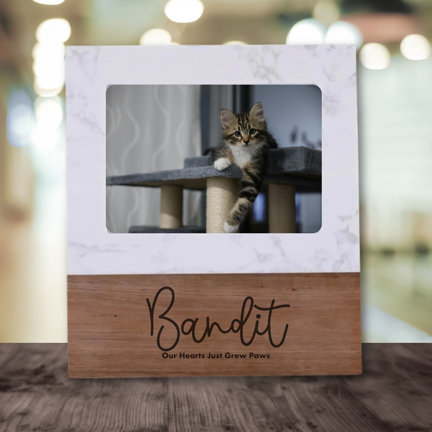 Welcome Purrrs Frames